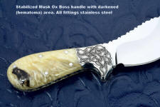 "Nunavut" custom skinning knife, obverse side view in 440C high chromium stainless steel blade, hand-engraved 304 stainless steel bolsters, Musk Ox boss horn handle, hand-tooled leather sheath