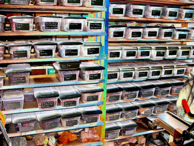 Rack of gemstone, rocks, and minerals